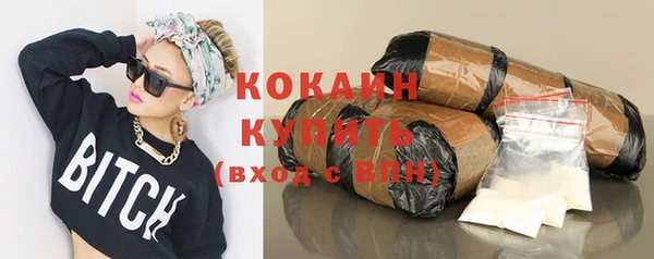 таблы Богородицк