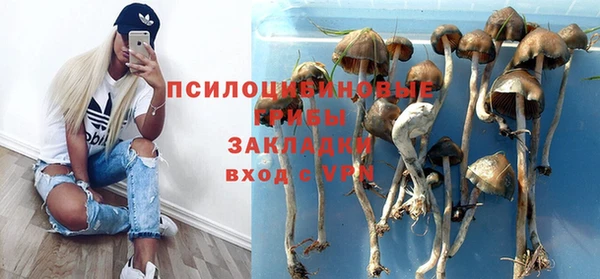 jwh Богданович